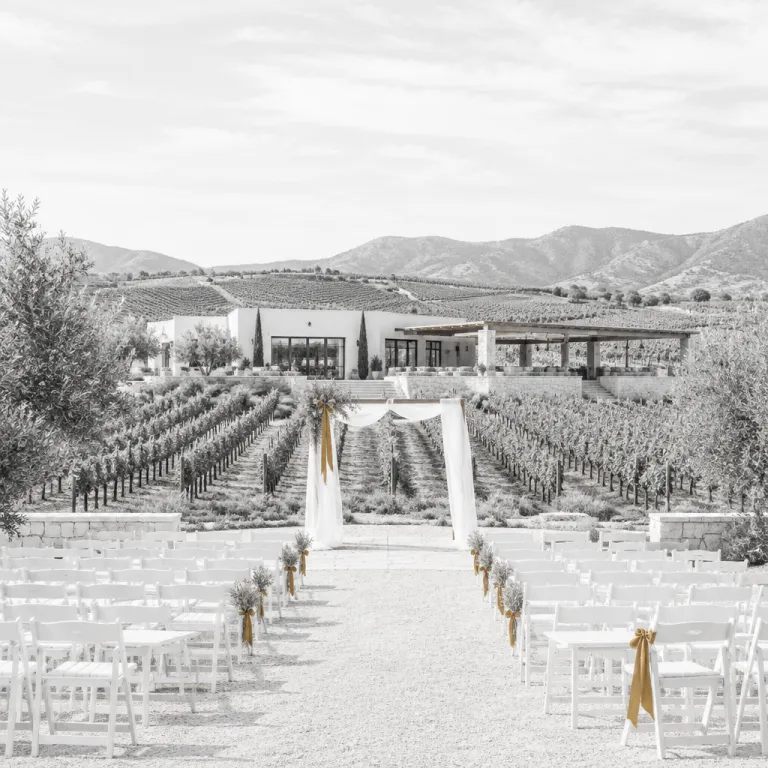 Elegant Valle de Guadalupe wedding venues for a refined vineyard celebration