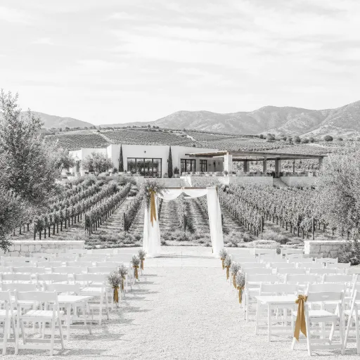 Elegant Valle de Guadalupe wedding venues for a refined vineyard celebration